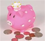 BKLITPR Little Princess Piggy Bank